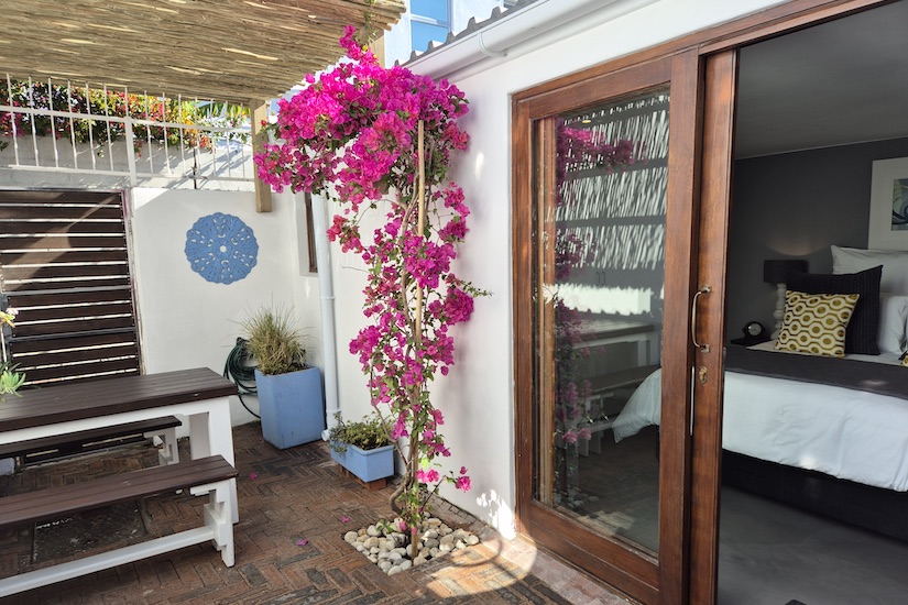 19 Jarvis Street - courtyard